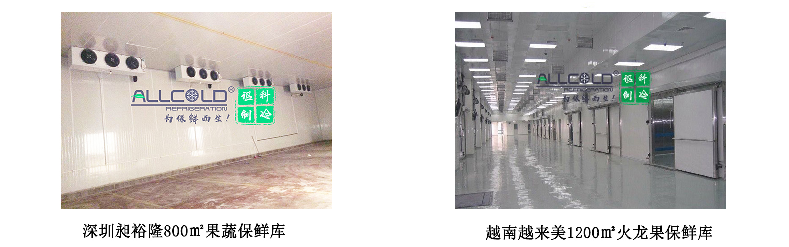 讴科冷库案例.jpg